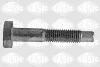 <strong>Болт кріплення шарової опори Peugeot 206/207 98-> SASIC 5223433 (фото 1)</strong>