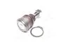<strong>Опора кульова (передня/знизу) Nissan Primera/Sunny 86-02/Almera II 00- SIDEM 41788 (фото 2)</strong>