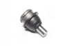 <strong>Шаровая опора (передняя/снизу/снаружи) Chrysler Voyager/Dodge Caravan 90-01 SIDEM 91080 (фото 1)</strong>