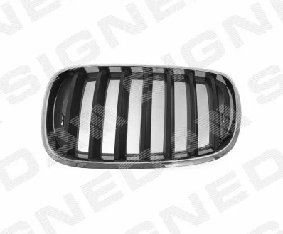 Решітка радіатора BMW X5 (E70), 10.06 - 04.10 для SIGNEDA BM07053GAL фото товару