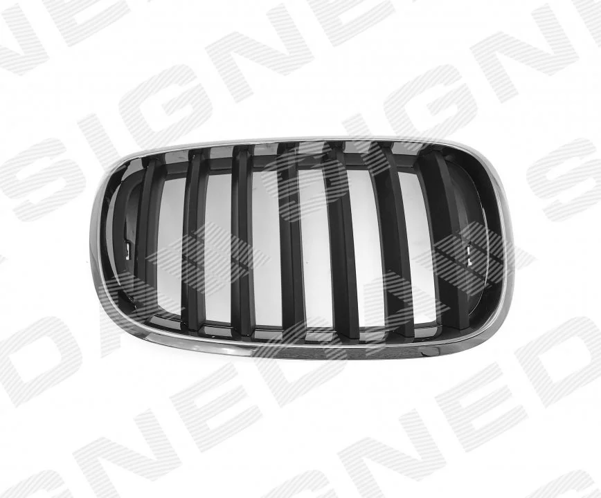 <strong>Решітка радіатора BMW X5 (E70), 10.06 - 04.10 SIGNEDA BM07053GAR (фото 1)</strong>