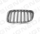 <strong>Решітка радіатора BMW X5 (E53), 04 - 06 BMW SIGNEDA PBM07031GBL (фото 1)</strong>