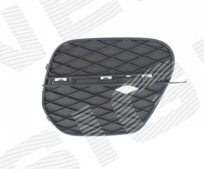 Решітка в бампер BMW X5 (E70), 04.10 - 11.13 для BMW SIGNEDA PBM99114CAR фото товару
