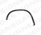 <strong>Надкирильник VW TIGUAN, 07 - 11 VAG SIGNEDA PVW035038GR (фото 1)</strong>