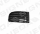<strong>Решітка в бампер VW GOLF V, 03 - 08 SIGNEDA PVW99014GBR (фото 1)</strong>