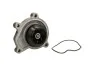<strong>Водяний насос VW Polo/Seat Ibiza/Skoda Fabia 1.2i 01- Saleri SIL PA1233 (фото 1)</strong>
