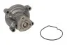 <strong>Водяний насос A3/Octavia/Fabia/Golf V/Passat/Polo 1.6 FSI 03- Saleri SIL PA1271 (фото 2)</strong>