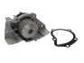 <strong>Водяний насос Berlingo/Partner/Jumpy/Expert 1.9D/TD (XUD) 96- (20z) Saleri SIL PA649P (фото 2)</strong>