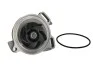 <strong>Водяний насос T4 2.4D (AAB) 91-95 (див..ETKA) Saleri SIL PA663P (фото 1)</strong>