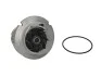 <strong>Водяной насос Astra G/H/Vectra B/C 1.8 95- Saleri SIL PA936 (фото 1)</strong>