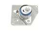 <strong>Роликовий модуль натягувача ременя SKF VKM 16113 (фото 1)</strong>