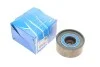 <strong>Ролик модуля натягувача ременя SKF VKM 21259 (фото 2)</strong>