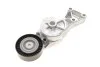 <strong>Роликовий модуль натягувача ременя SKF VKM31019 (фото 11)</strong>