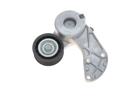 Ролик модуля натягувача ременя для Volkswagen, Seat, Ford, Audi SKF VKM 31318 фото товару