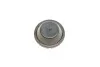 <strong>Ролик модуля натягувача ременя SKF VKM 32242 (фото 4)</strong>