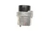 <strong>Роликовий модуль натягувача ременя SKF VKM34071 (фото 2)</strong>