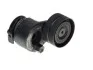 <strong>Роликовий модуль натягувача ременя SKF VKM36072 (фото 2)</strong>