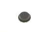 <strong>Ролик модуля натягувача ременя SKF VKM 38003 (фото 3)</strong>
