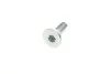 <strong>Ролик модуля натягувача ременя SKF VKM 64075 (фото 5)</strong>