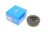 <strong>Ролик модуля натягувача ременя SKF VKM 66006 (фото 1)</strong>