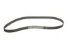 <strong>Роликовий модуль натягувача ременя (ролик, ремінь) SKF VKMA 01010 (фото 2)</strong>