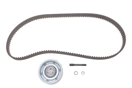 Комплект (ремінь+ролики) для Audi, Skoda, Seat, Volkswagen SKF VKMA 01113 фото товару