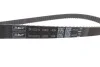 <strong>Роликовий модуль натягувача ременя (ролик, ремінь) SKF VKMA01121 (фото 5)</strong>