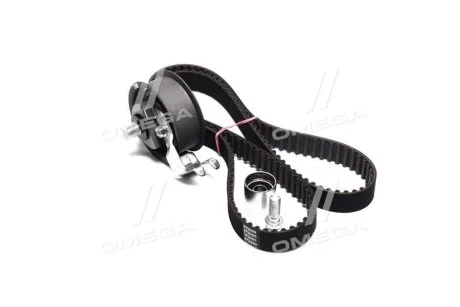 Комплект ременя ГРМ для Volkswagen, Audi, Skoda, Seat SKF VKMA 01135 фото товару