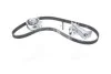 Комплект (ремінь+ролики) для Audi, Volkswagen, Seat, Skoda SKF VKMA 01918 фото товару