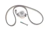 <strong>Роликовий модуль натягувача ременя (ролик, ремінь) SKF VKMA 04111 (фото 1)</strong>