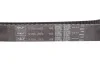 <strong>Роликовий модуль натягувача ременя (ролик, ремінь) SKF VKMA 05501 (фото 11)</strong>