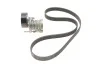 <strong>Полікліновий ремінний комплект SKF VKMA 31098 (фото 1)</strong>