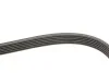 <strong>Полікліновий ремінний комплект SKF VKMA 31098 (фото 3)</strong>