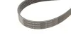 <strong>Полікліновий ремінний комплект SKF VKMA 31098 (фото 4)</strong>