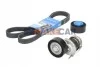 Комплект доріжкового ремня для Audi, Volkswagen, Seat, Skoda SKF VKMA 31127 фото товару