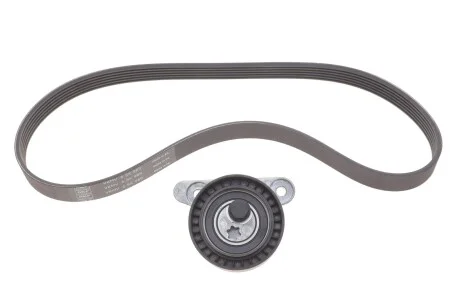 Комплект доріжкового ремня для Peugeot, Volkswagen, Ford, Citroen, Alfa Romeo SKF VKMA 31276 фото товару