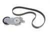 Комплект доріжкового ремня для Citroen, Peugeot, Alfa Romeo, Volkswagen, Ford SKF VKMA 33165 фото товару