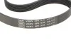 <strong>Комплект доріжкового ремня SKF VKMA 33165 (фото 2)</strong>