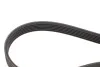 <strong>Комплект доріжкового ремня SKF VKMA 33165 (фото 3)</strong>