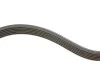 <strong>Комплект доріжкового ремня SKF VKMA 33222 (фото 5)</strong>