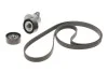<strong>Роликовий модуль натягувача ременя (ролик, ремінь) SKF VKMA 35359 (фото 1)</strong>
