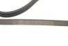 <strong>Роликовий модуль натягувача ременя (ролик, ремінь) SKF VKMA 36036 (фото 5)</strong>