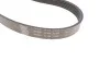 <strong>Комплект доріжкового ремня SKF VKMA 36055 (фото 3)</strong>