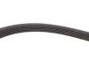 <strong>Комплект доріжкового ремня SKF VKMA 36055 (фото 4)</strong>