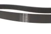 <strong>Роликовий модуль натягувача ременя (ролик, ремінь) SKF VKMA 36058 (фото 3)</strong>