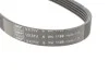 <strong>Роликовий модуль натягувача ременя (ролик, ремінь) SKF VKMA 36058 (фото 5)</strong>