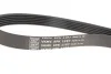 <strong>Роликовий модуль натягувача ременя (ролик, ремінь) SKF VKMA 36145 (фото 5)</strong>