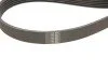 <strong>Роликовий модуль натягувача ременя (ролик, ремінь) SKF VKMA 36179 (фото 5)</strong>
