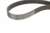 <strong>Роликовий модуль натягувача ременя (ролик, ремінь) SKF VKMA 36179 (фото 6)</strong>