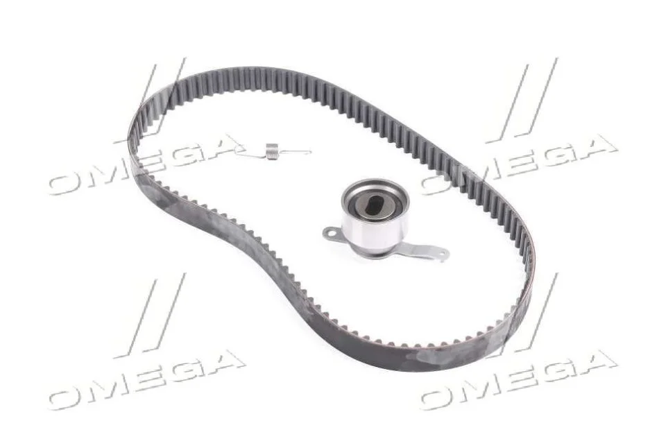 <strong>Роликовий модуль натягувача ременя (ролик, ремінь) SKF VKMA 93005 (фото 1)</strong>